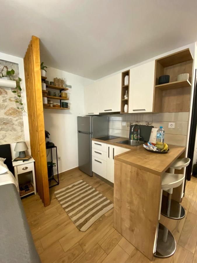 Apartment Little Oasis